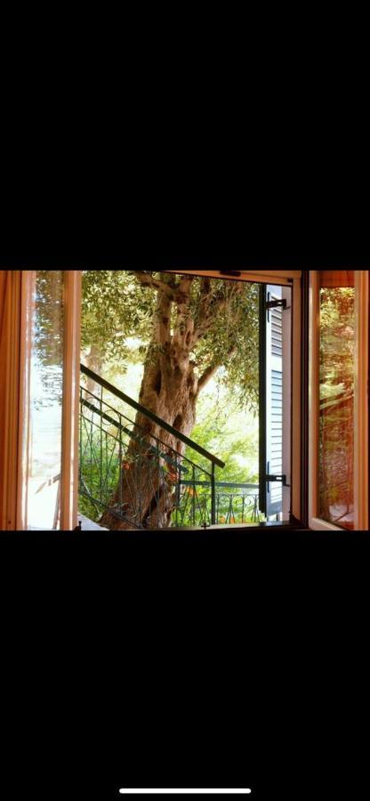 Glyfada Villa View غليفادا المظهر الخارجي الصورة